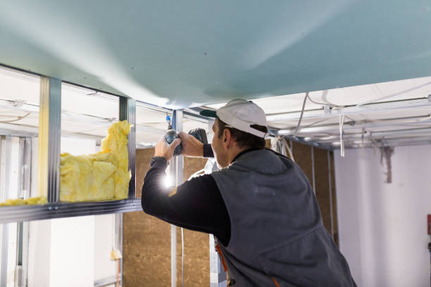 Best Radiant Barrier Insulation  in Ferrysburg, MI