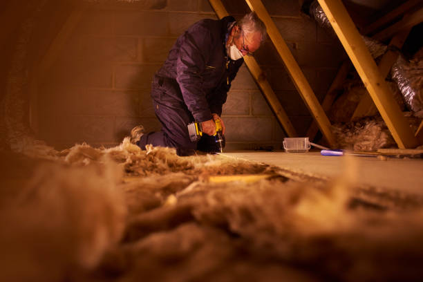 Best Attic Insulation Installation  in Ferrysburg, MI